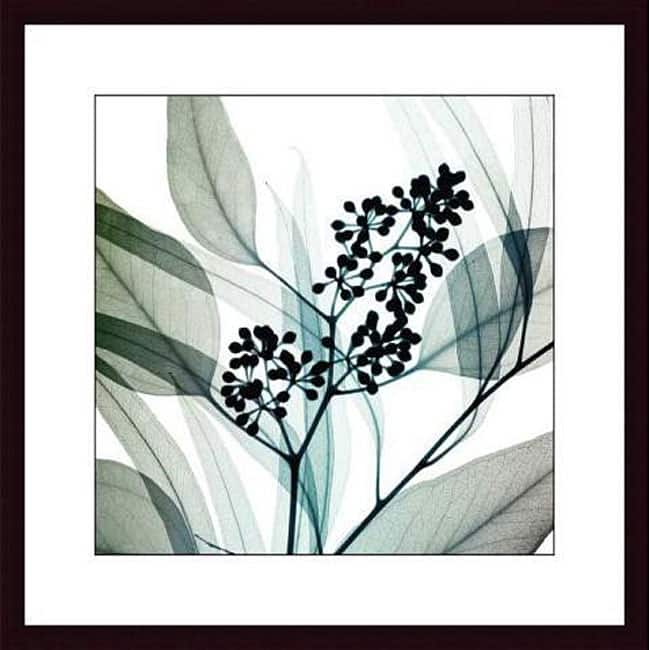 Steven N. Meyers 'Eucalyptus' Wood Framed Art Print