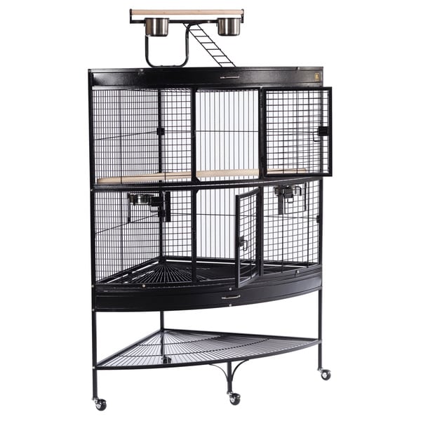 Prevue 2025 corner cage