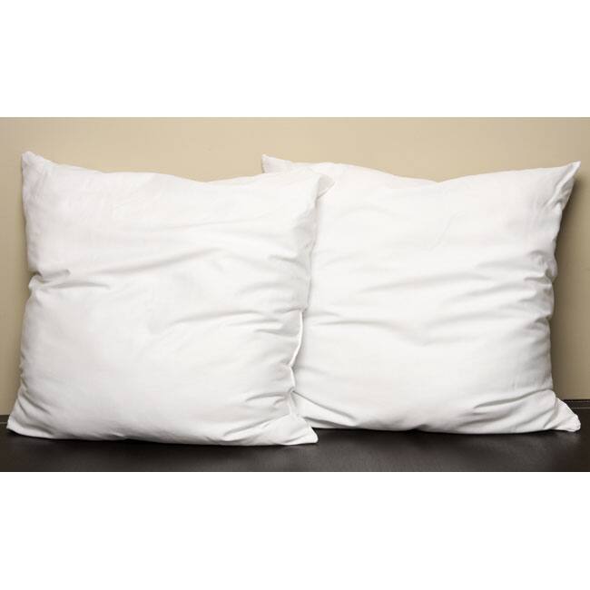 Polyester Euro-size Pillows (Set of 2)