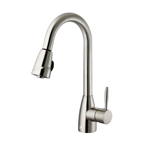 VIGO Graham Stainless Steel PullDown Spray Kitchen Faucet Free