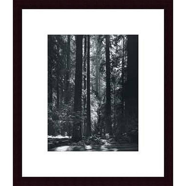 Ansel Adams 'Redwoods, Founders Grove' Wood Framed Art Print