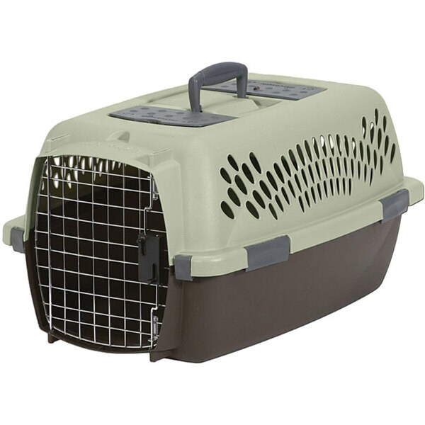 medium cat carrier