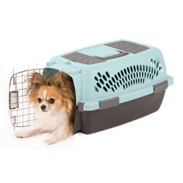 petmate pet taxi carrier