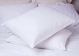 Deluxe Cotton Medium-soft Support Natural Feather Pillows (Set of 2)
