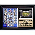 2009 New York Yankees World Champions 12x18 Photo