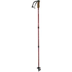 swiss gear hiking pole