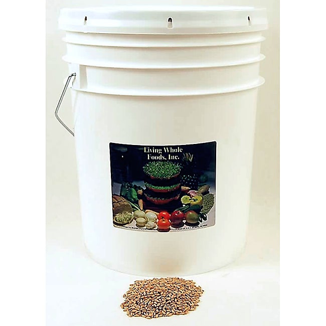 Living Whole Foods 35-pound Bucket of Organic Kamut