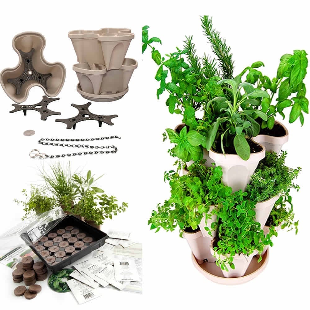 Indoor Medicinal Herb Garden Starter Kit & SelfWatering eBay