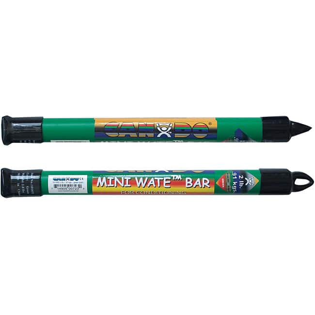 Cando 3-pound Mini Weight Bar Pair