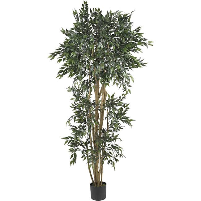 Green Ash 6-foot Silk Tree