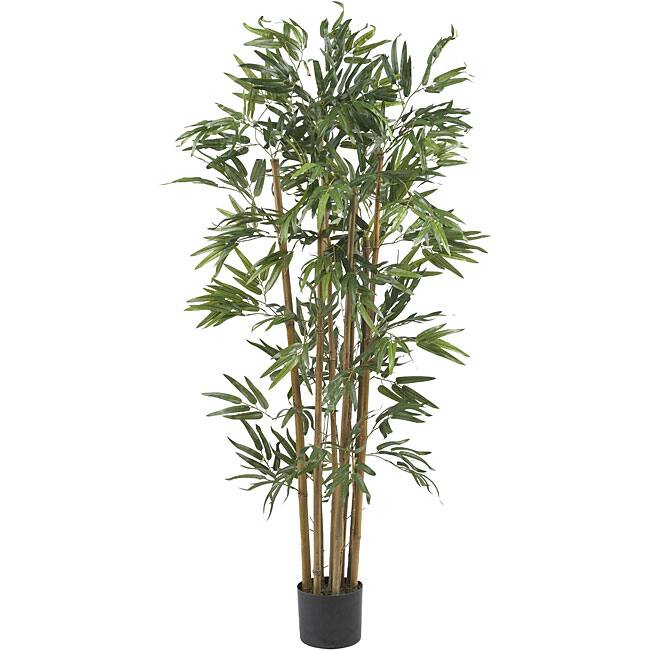Multi Bambusa 4-foot Bamboo Silk Tree
