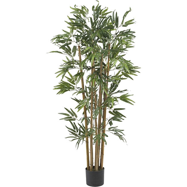 Multi Bambusa 4-foot Bamboo Silk Tree