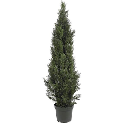 Mini 5-foot Indoor/ Outdoor Cedar Pine Tree