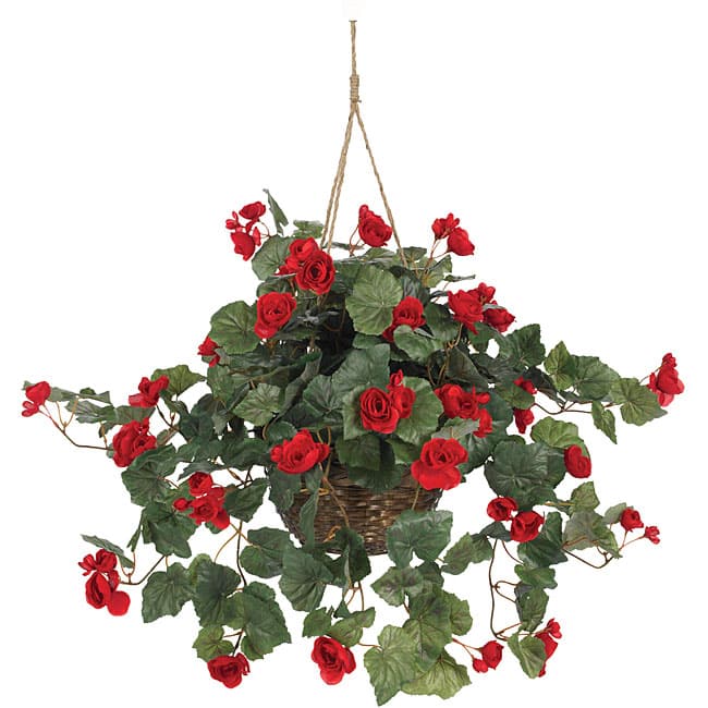 Begonia Hanging Basket - Red