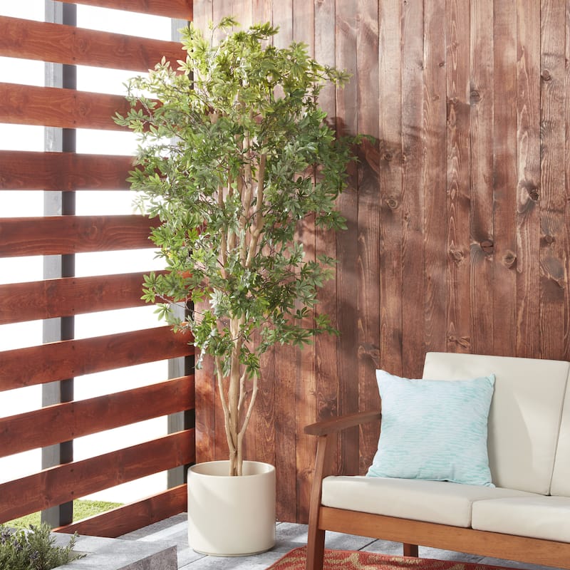 Japanese Maple 6-foot Silk Tree - Green