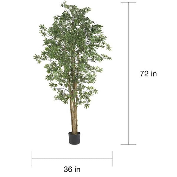 Japanese Maple 6-foot Silk Tree - Green