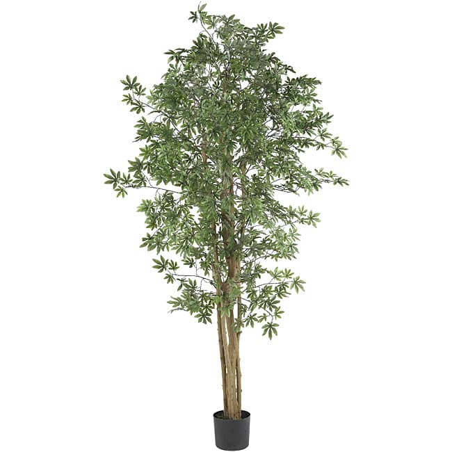Japanese Maple 6-foot Silk Tree - Green