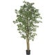 Japanese Maple 6-foot Silk Tree - Green - Bed Bath & Beyond - 4470299