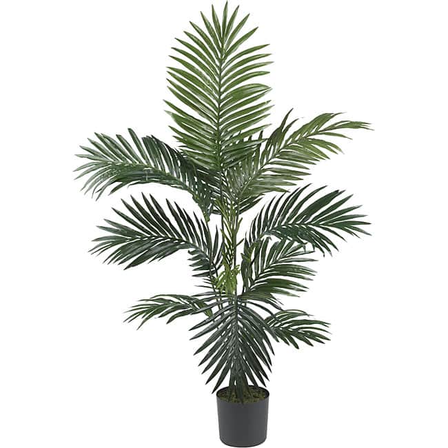 Kentia Palm 4-foot Silk Tree