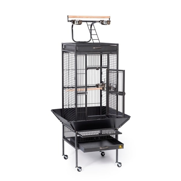 prevue pet products wrought iron select bird cage