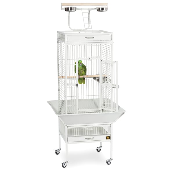 prevue pet products wrought iron select bird cage 3151