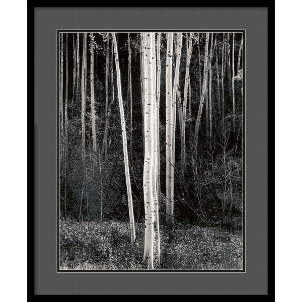 Ansel Adams 'Aspens' Framed Art Print - Free Shipping Today - Overstock
