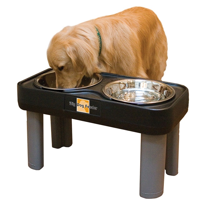 elevated dog feeder large breed