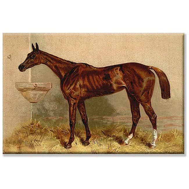 Alfred Conbould 'Book of the Horse' Gallery-wrapped Canvas Art