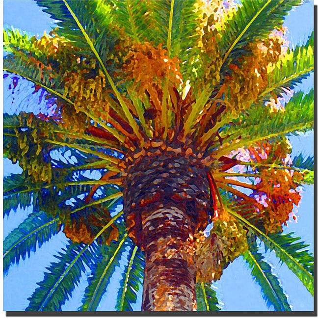 Amy Vangsgard Palm Tree Looking Up Gallery wrapped Canvas Art