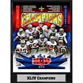 Super Bowl XLIV Champion New Orleans Saints Plaque
