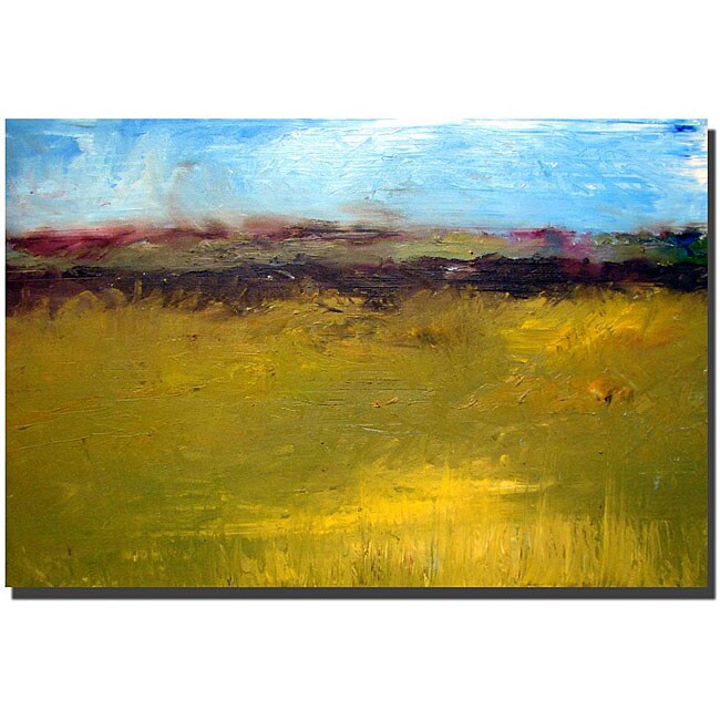 Shop Calkins 'Abstract Landscape, The Highways Series' Gallery-wrapped ...