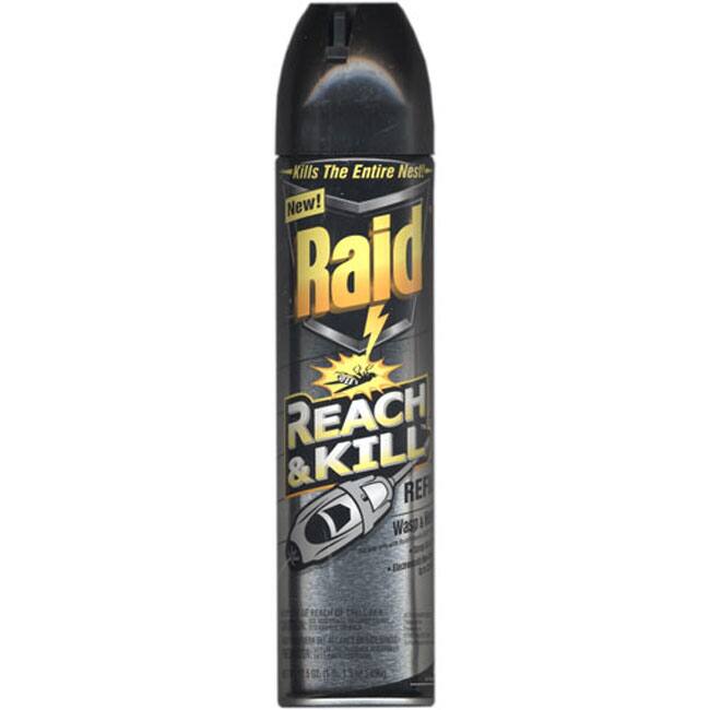 Raid 17.5-oz Reach and Kill Wasp and Hornet Killer Refill