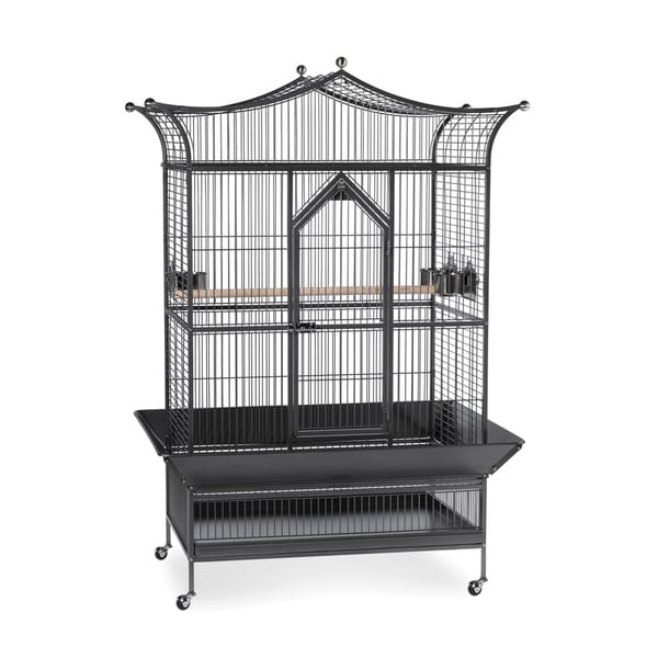 stylish bird cages