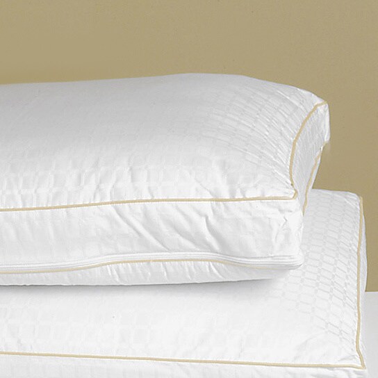 Shop Bodipedic Extra Support Memory Foam Grande Pillows (Set of 2) - Free Shipping Today ...