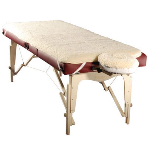 Shop Massage Table Fleece Pad Sheet and Facerest Cover Set Free