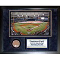 Steiner Sports Tropicana Field 11x14 Mini Dirt Collage