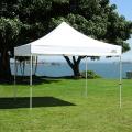 Traveler Commercial White 10'x10' Canopy