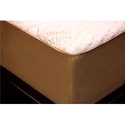 Shop Orthopedic 12-inch Twin XL-size 4-layer Memory Foam ...