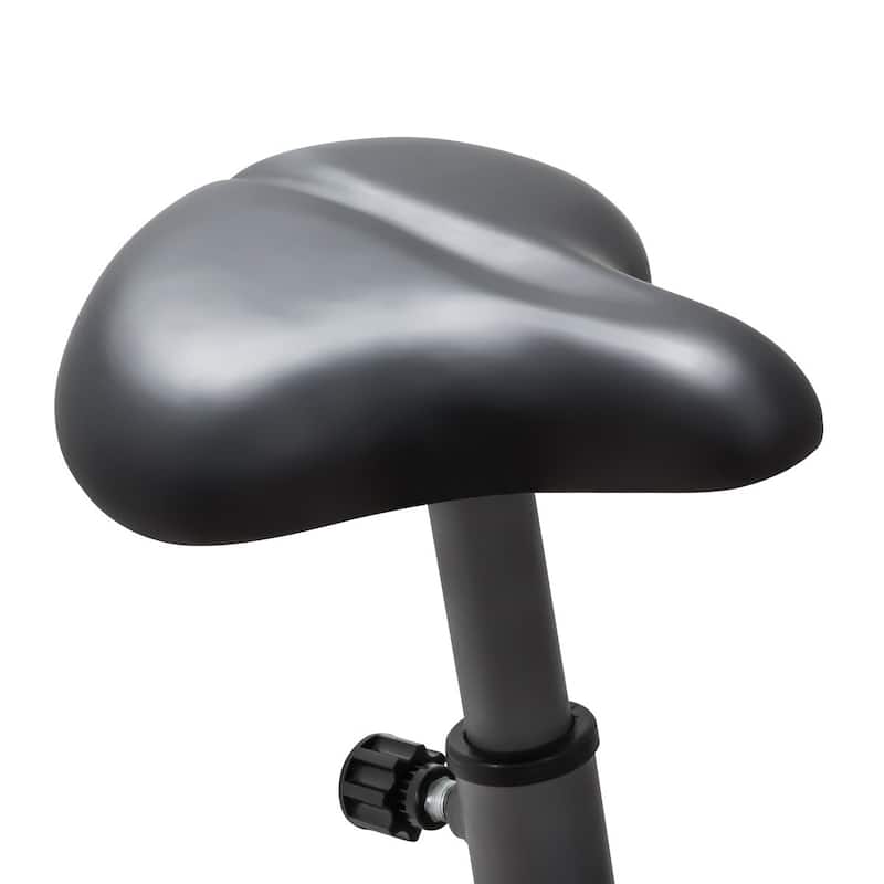 Marcy Upright Mag Bike