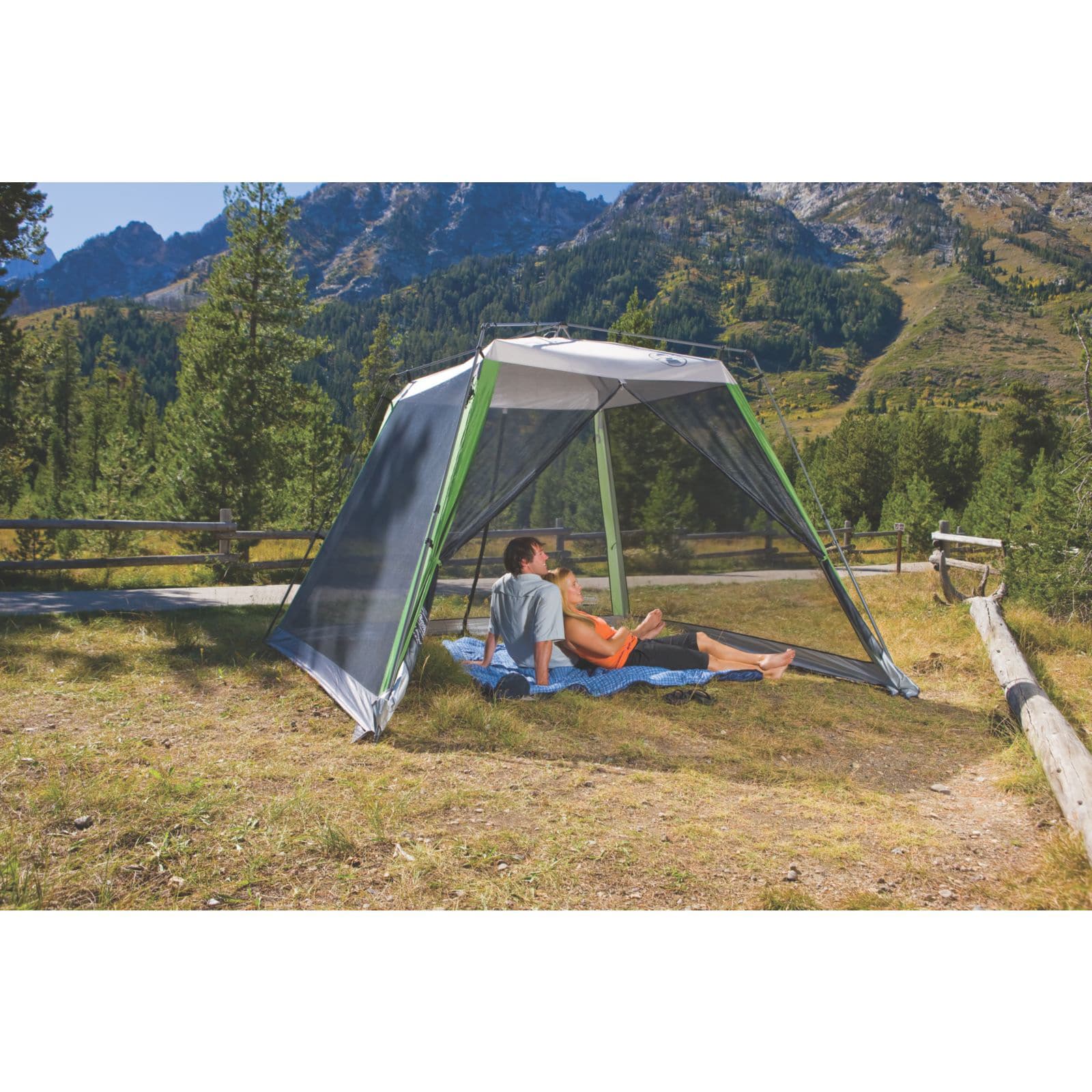 coleman 10x10 screened canopy