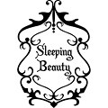 sleeping beauty pop vinyl