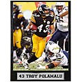 Pittsburgh Steelers Troy Polamalu 9x12-inch Plaque