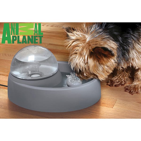 Animal Pet Fountain Free Shipping On Orders Over 45