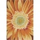 preview thumbnail 4 of 15, Nourison Fantasy Oversized Floral Area Rug 8' x 10'6" - Multi - Rectangle