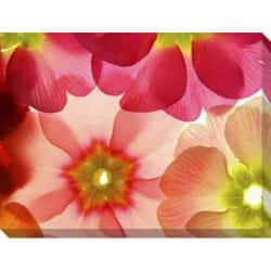 slide 1 of 1, Gallery Direct 'Spring Primula' Giclee Canvas Art