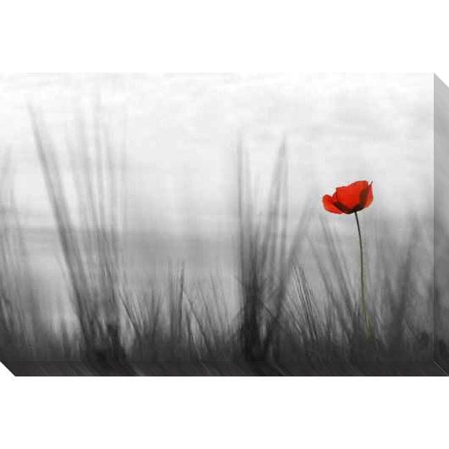 Gallery Direct Coquelicot Giclee Canvas Art   13079621  