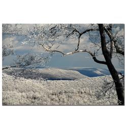 Winter Wall Art lois bryan 'winter scene' canvas wall art - free shipping today Winter Wall Art lois bryan 'winter scene' canvas wall art - free shipping today