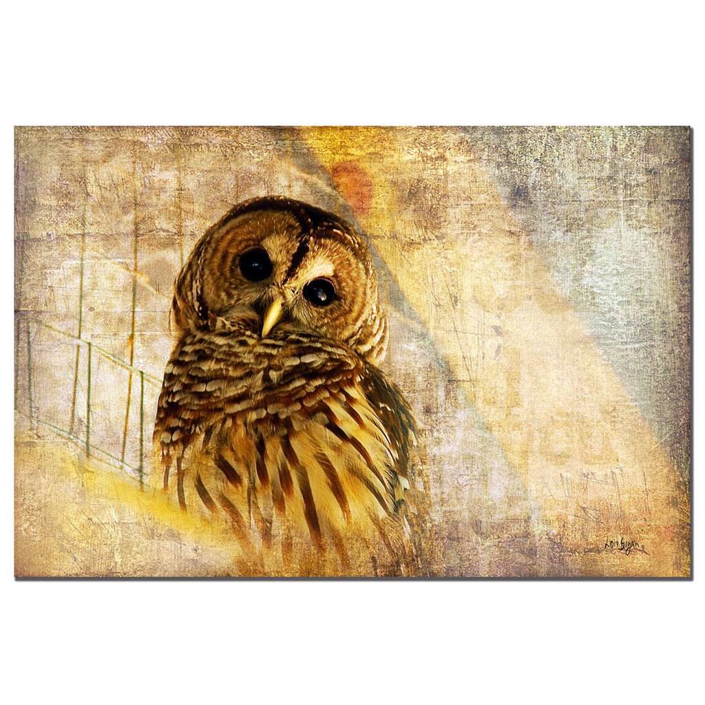 Lois Bryan 'Owl' Canvas Art
