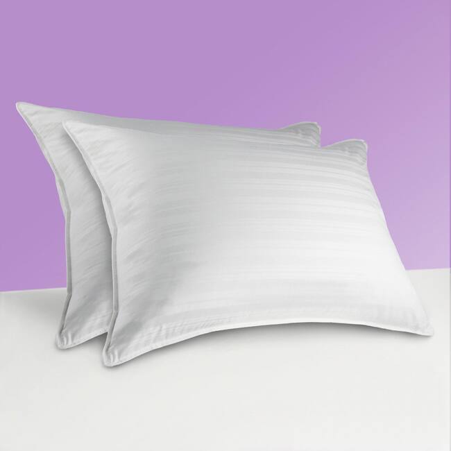 Sealy 300 Thread Count Down Alternative Pillows (Set of 2)