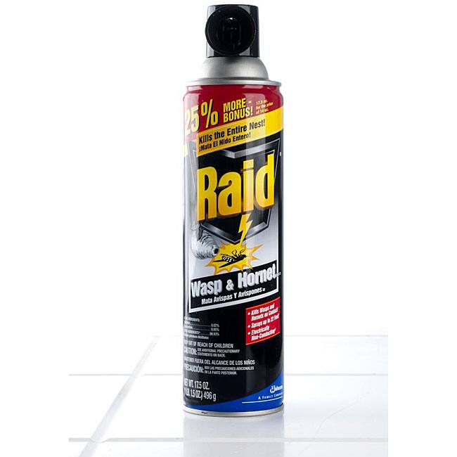 Raid Wasp & Hornet Killer 17.5 oz (Pack of 4)
